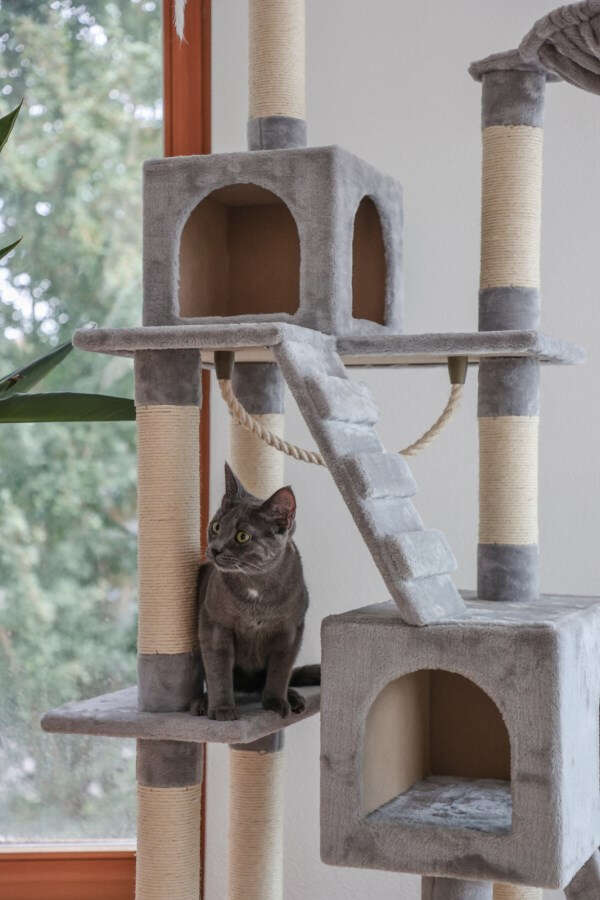 KERBL Kratzbaum Square